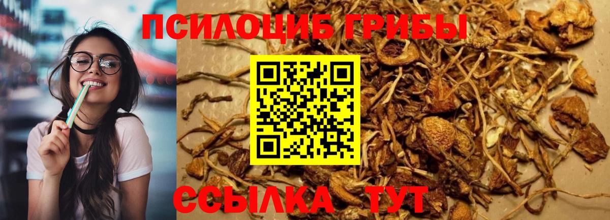 Галлюциногенные грибы прущие грибы  Вход с VPN  Усинск 